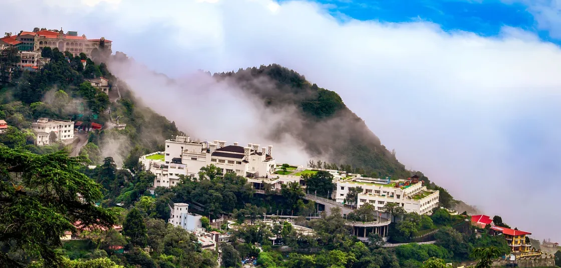 Blog Image 1